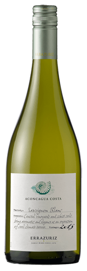 SB SV Aconcagua Costa 2013_7